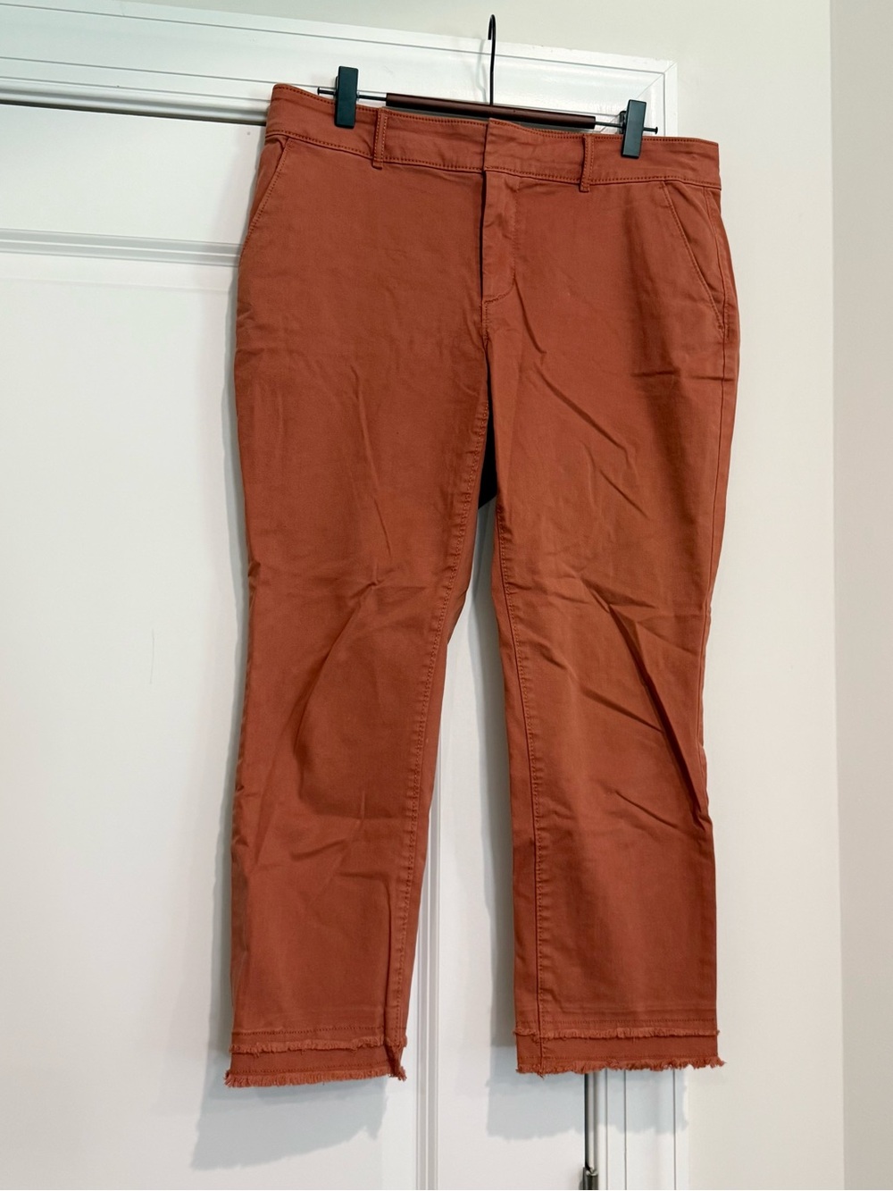 LOFT Rust Cropped Ankle Pants